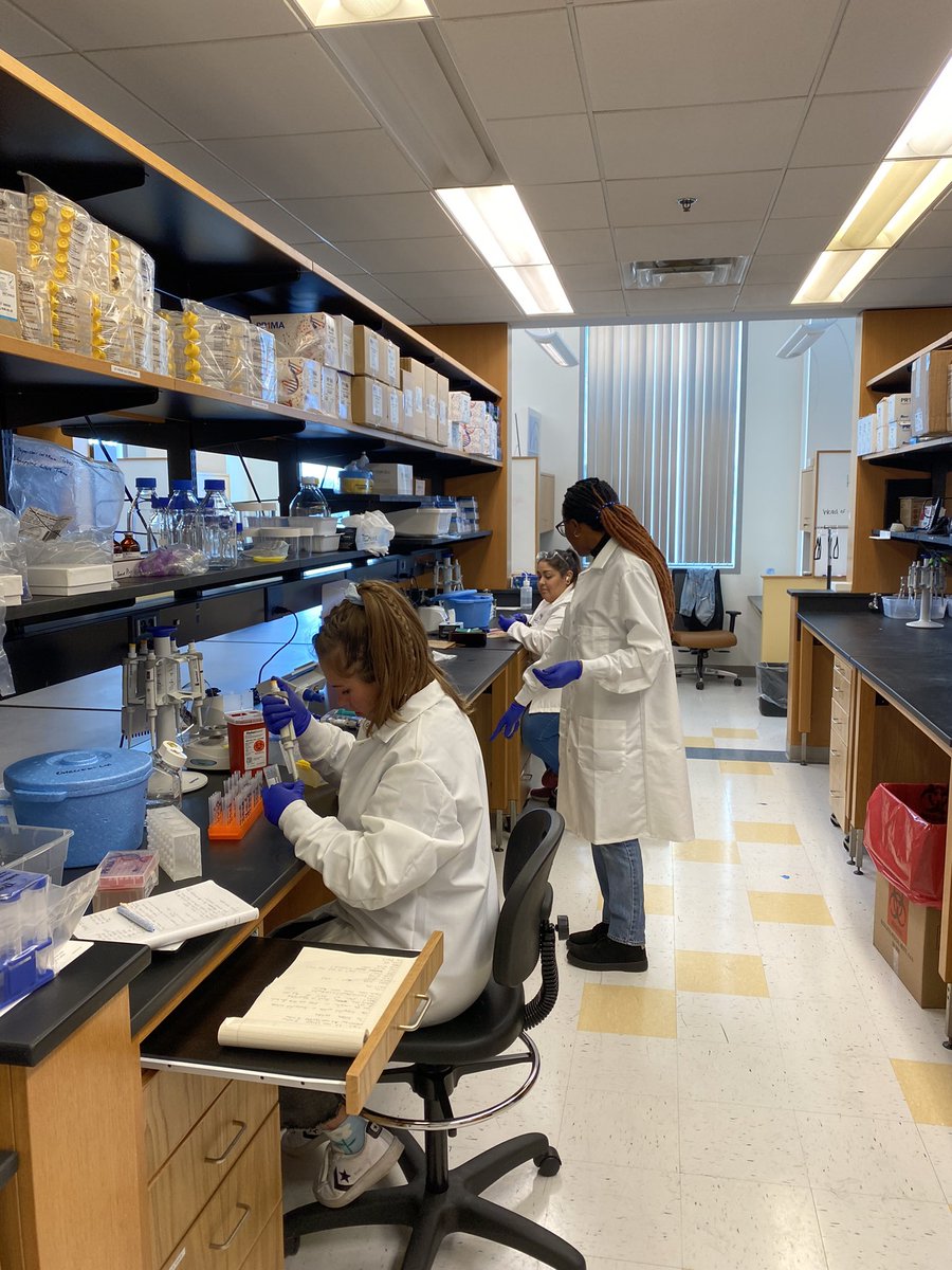 MarcoOrecchioni's tweet photo. I am so happy and grateful to see my new lab getting alive and with many new talented people working with me🤩🤩🤩  Let’s get it started! #newPILife #love-science #IMMCG https://t.co/cL93qWKv1r
