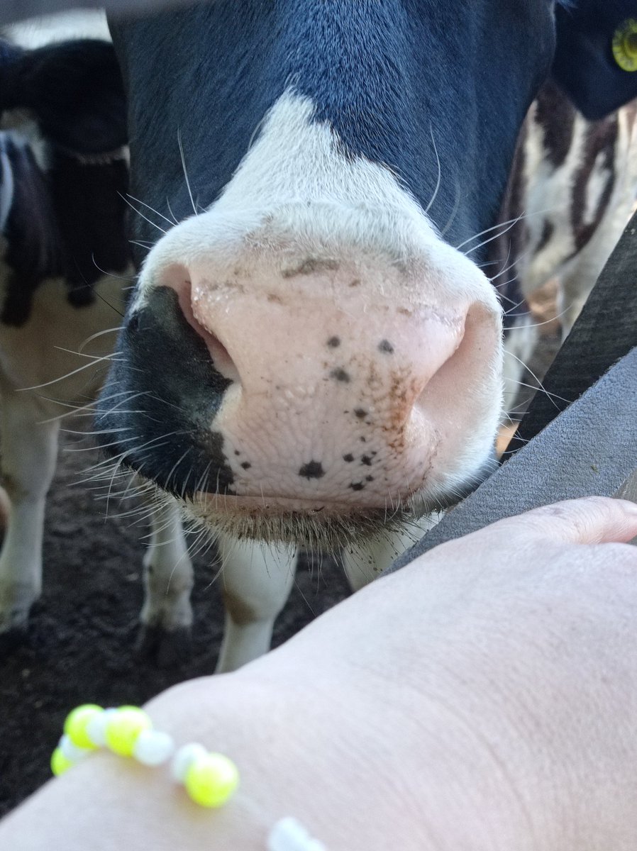 MPaulaCarnevale's tweet photo. #Hilo🧵
#FOTOS 📸
#camperas 🧥 (?) https://t.co/fPzAdpjppR