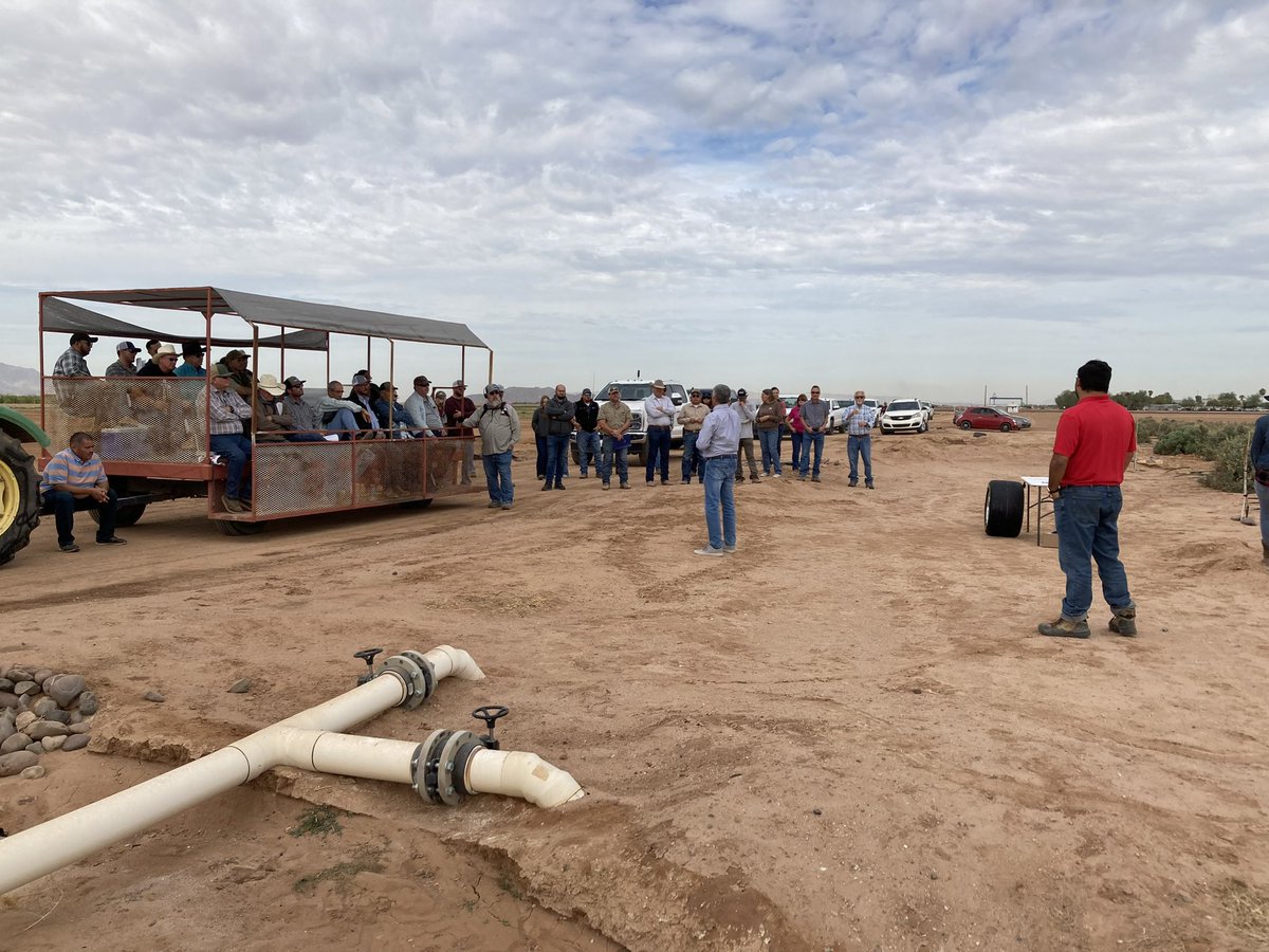 DebankurSanyal's tweet photo. We showcased our research on the #ClimateSmart crop #Guayule during the #FarmersFieldDay at Maricopa Agricultural Center. Guayule is low water-use, natural rubber producing crop that contribute to several #ecosystem services.
#HealthyDesertSoilInitiative
#UASoilHealthExtension https://t.co/LwJ70w5GpS