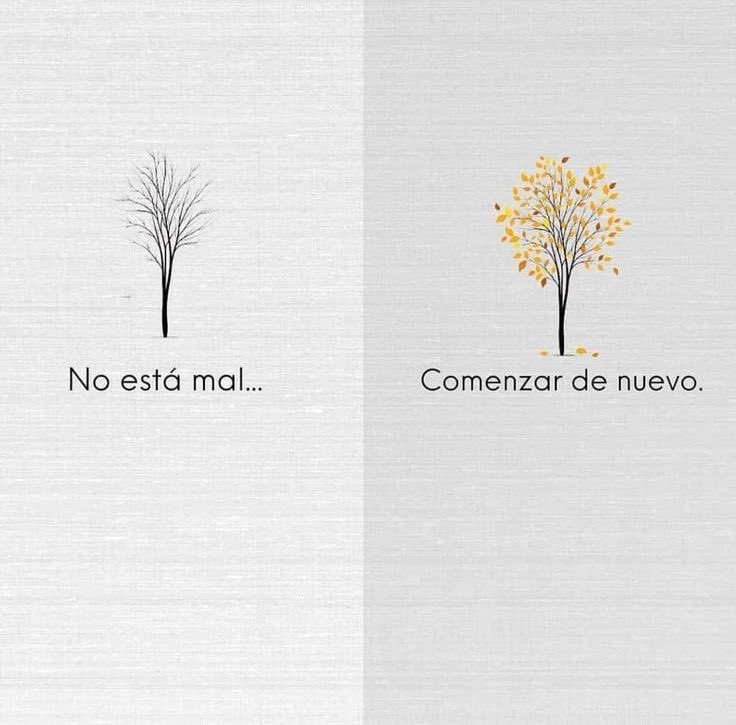 BANDIDOS (@bandidosfrasess) on Twitter photo 