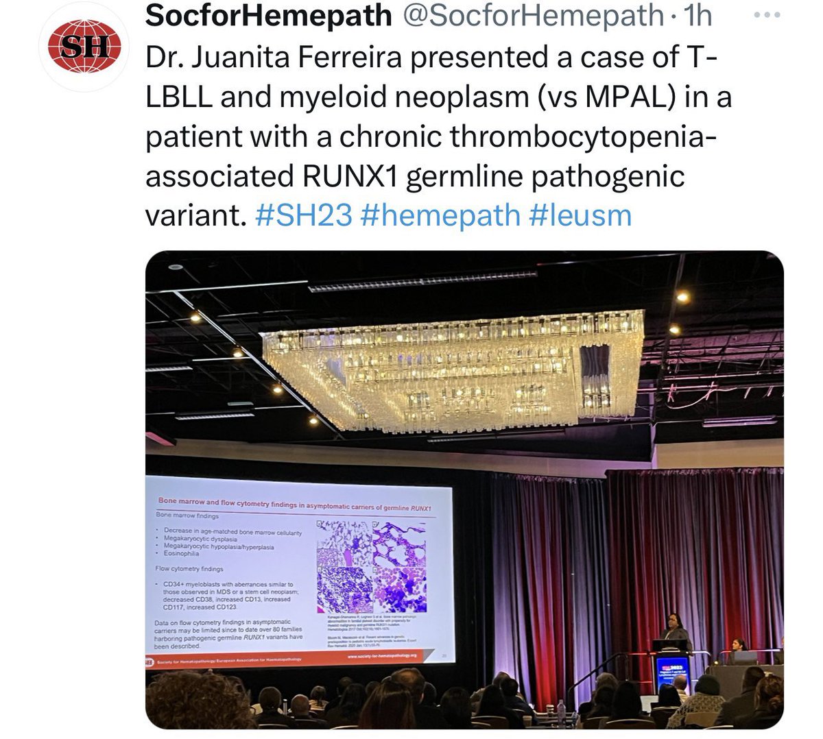 UKYpathology's tweet photo. Félicitations to our incredible resident @FerreiraJuanita for rocking her platform and presentation at SH-EAHP 2023! Cheers to your success @FerreiraJuanita @SocforHemepath #PathTwitter #Pathology #Path2Path #Pathologists #HemePath #SH23 #leusm https://t.co/Mc4Ciw4LgY