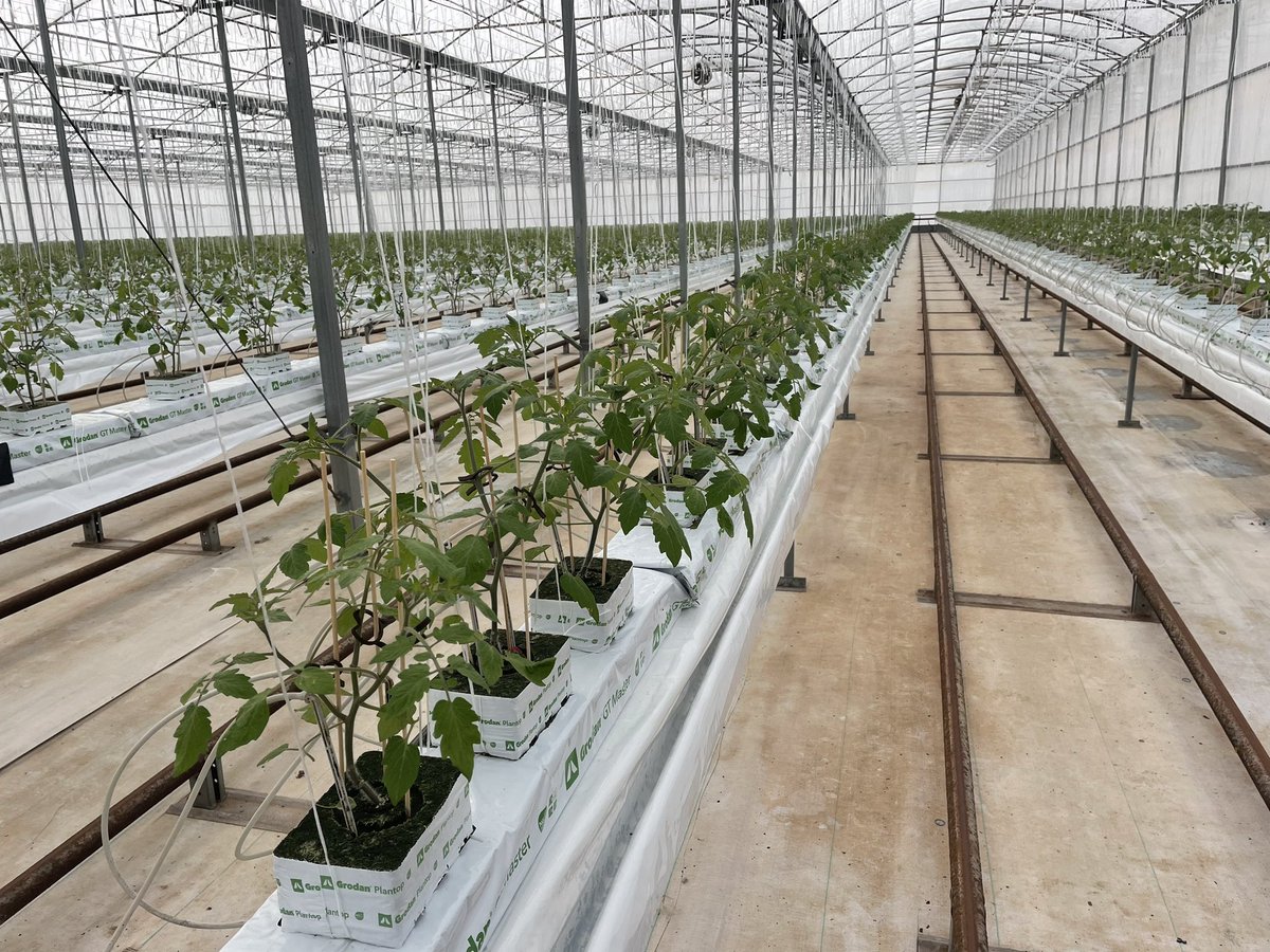 PaulEitzen's tweet photo. Happy National Ag Day Australia Grow You Good Thing! #Yara #KnowledgeGrows #QualityFertiliser #AGDAYAU https://t.co/Dr9MWcACU0