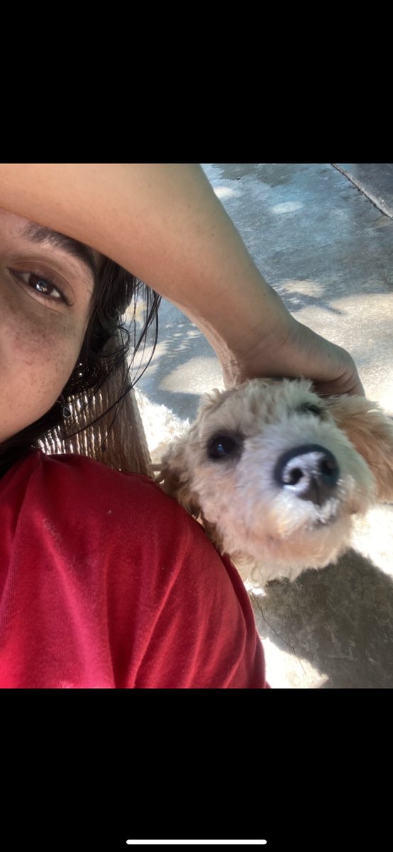 migdalialemus_'s tweet photo. te voy a extrañar tanto🥺🥺🥺🤍 https://t.co/EO0O2n04zm