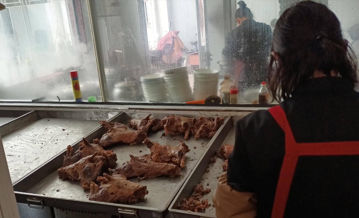 YaLovewith's tweet photo. There is a country, which is proud of eating dogs! Yeah, Disgusting is beautiful there! 
Sometimes, feeling shame for these……" (Pei Xian, Jiangsu province, China) https://t.co/9turJFHhL9