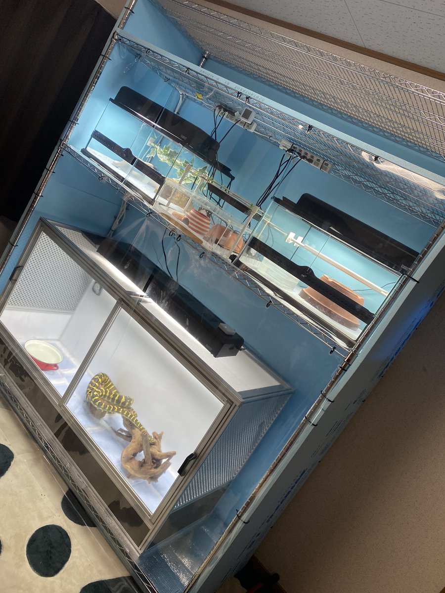 しーた@人生2周目 tweet media