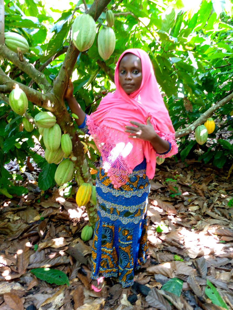 MichelKablan3's tweet photo. Elle accompagne son mari qui la prend fièrement en photo dans leur plantation de kko
SCATI_Egalité des genres https://t.co/V69xVDOmyR