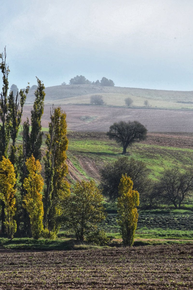 AgricultorCast's tweet photo. Ahora que nos leemos pocos, cuando se disipa la niebla se ven estas postales. https://t.co/FtyF18RZUe