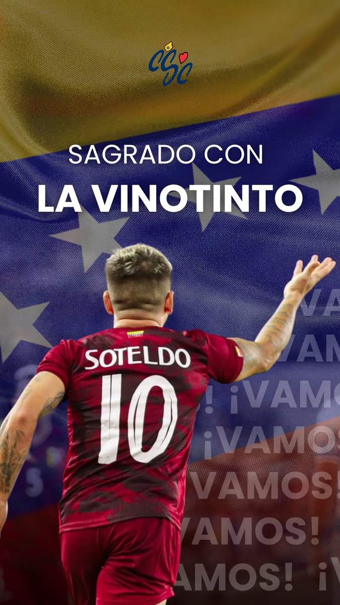 ¡Vamos Vinotinto!