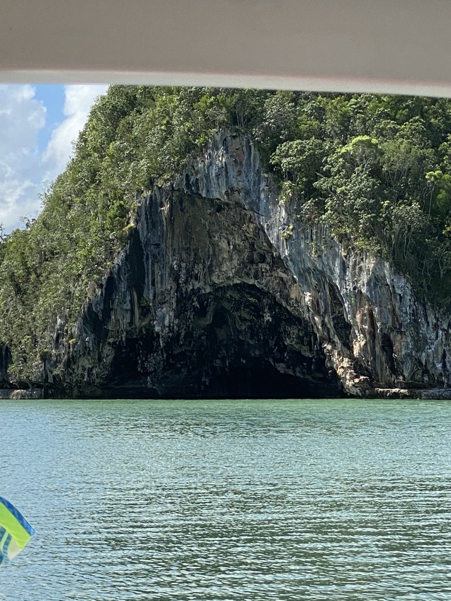 Many thanks to <a href="/AdvancesUro/">Advances in Urologic Care</a> for a great meeting in the DR! ☀️Great speakers and perfect weather! And always fun catching up with #urology pals! <a href="/adamkibel_uro/">Adam Kibel</a> <a href="/qdtrinh/">Quoc-Dien Trinh, MD, MBA</a> <a href="/MattMossanen/">Matthew Mossanen</a>