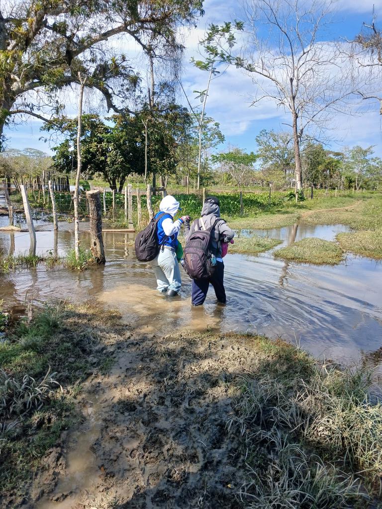 ANDREA BUSTAMANTE tweet media