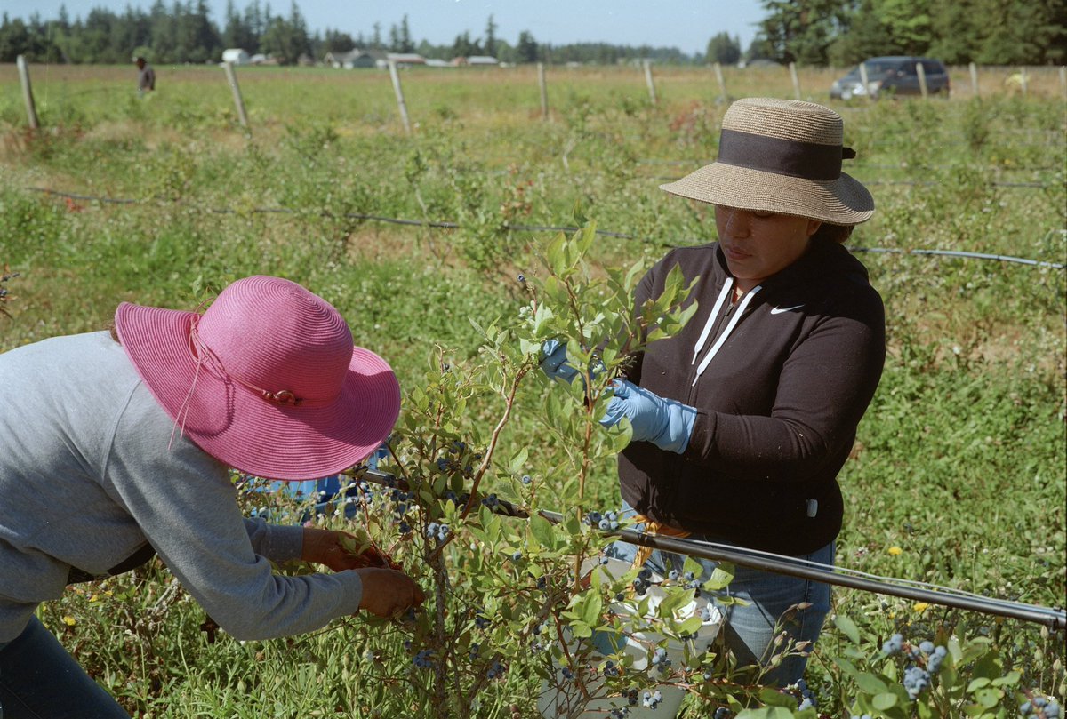PhotoMeron's tweet image. Recent works. Thankful to meet such a range of people and stories. The conversations on shoots this year have been nothing short of illuminating.