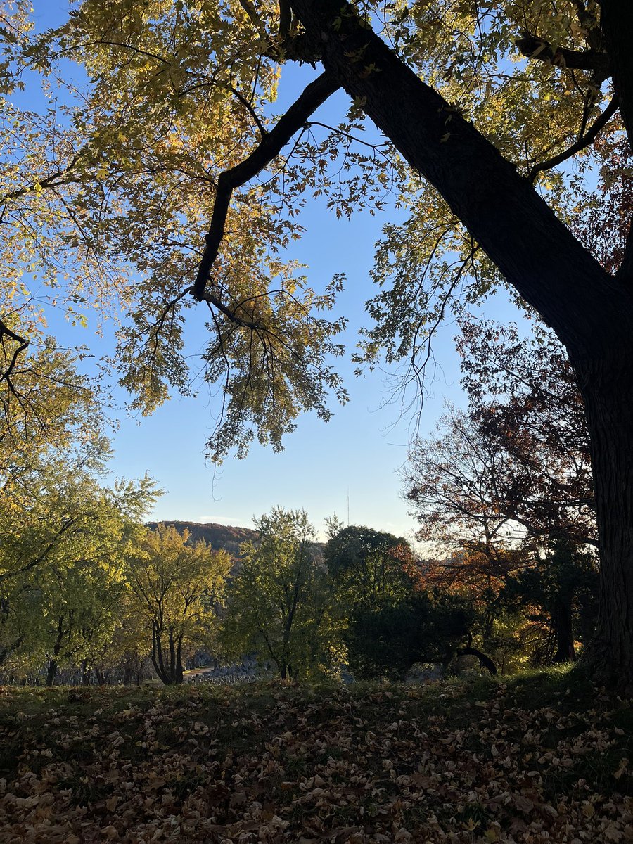 Sandylicious74's tweet photo. @Montreal Parc Jean Drapeau &amp; Mont Royal last weekend 🍂🤎🧡🍂 https://t.co/BXLVZhDUNh