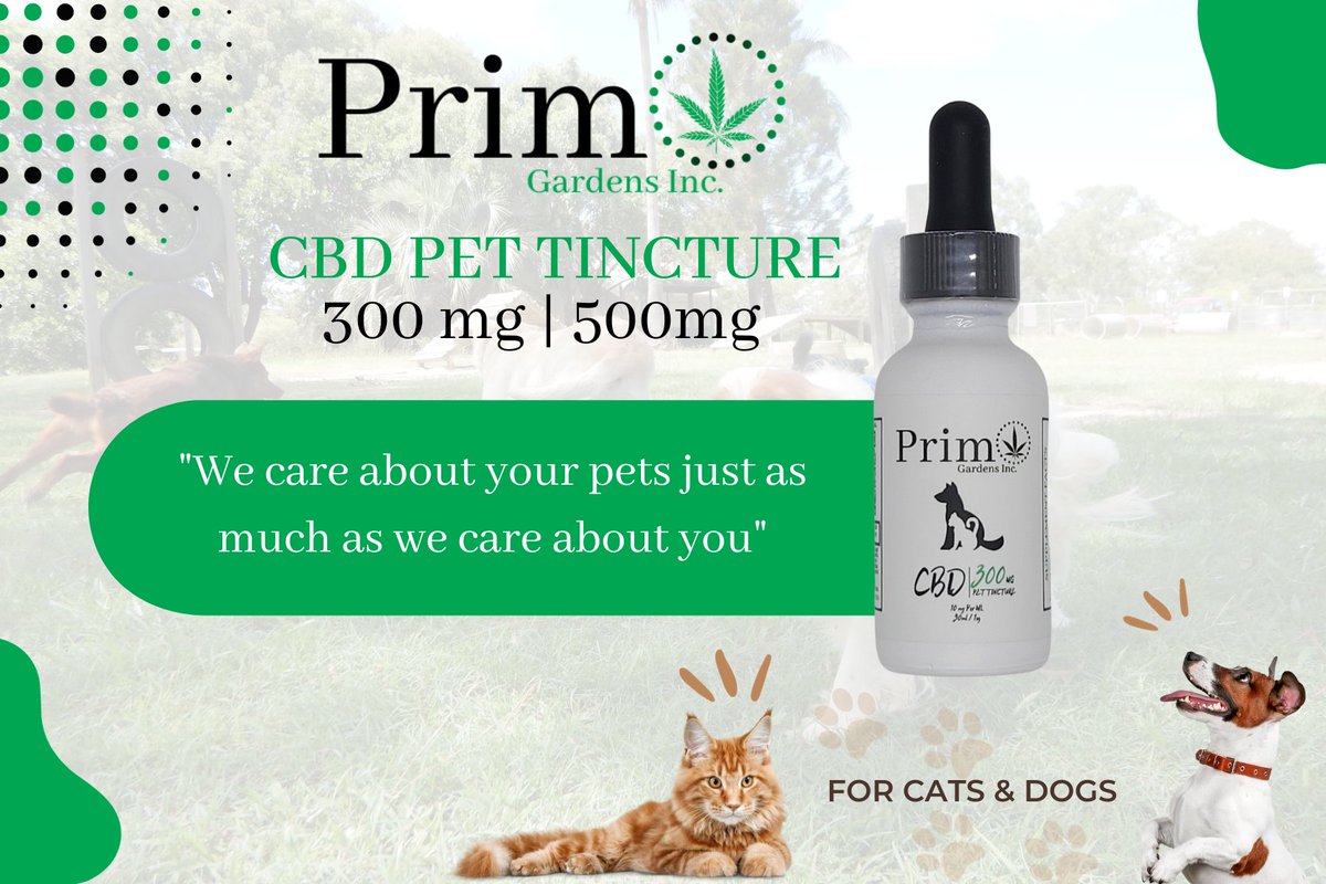 🌿 Exciting News for Pet Parents! 🐾 Introducing our CBD Pet Tincture, available in 300mg and 500mg potencies! 🌟 Crafted with care using Broad Spectrum Whole Hemp Extract (CBD) and Sweet Almond Oil for the well-being of your furry friends. 

Why Choose Our #CBDPetTincture? 

🌱