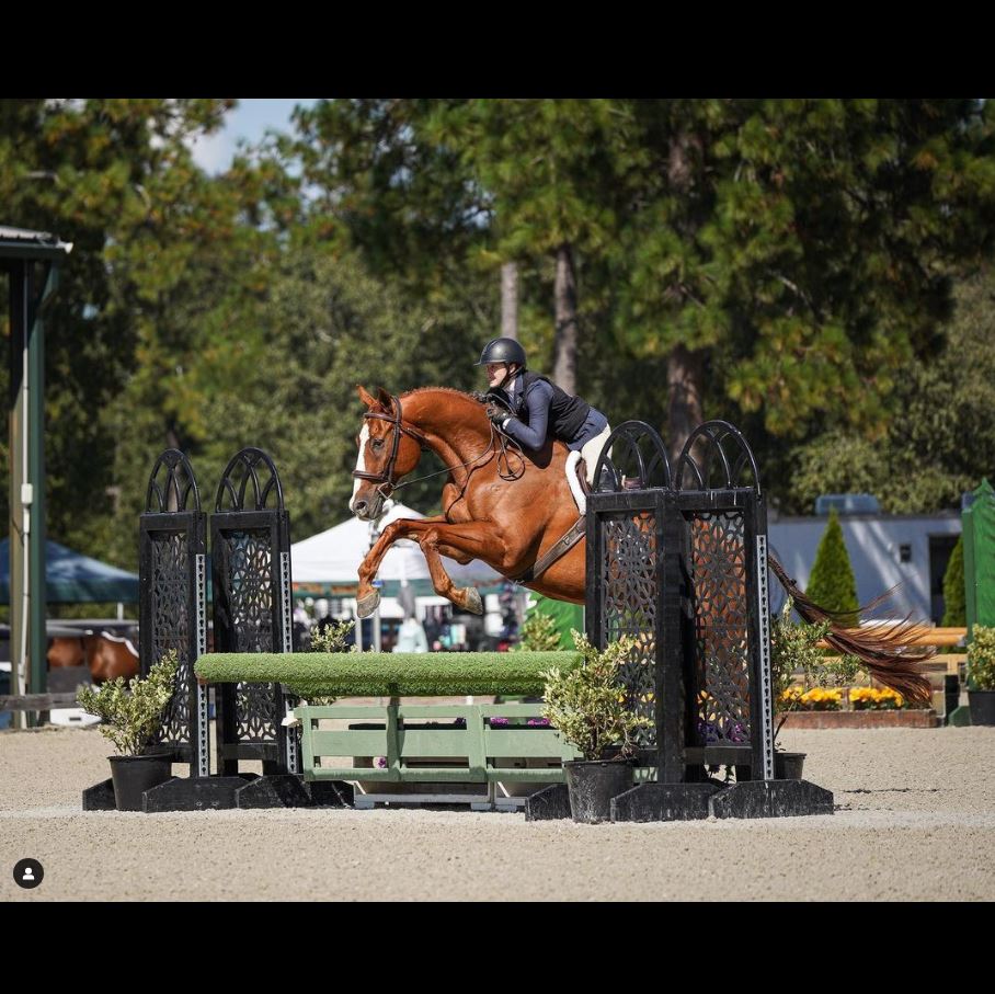 🐎 Blue &amp; @alyssam_eq celebrate their 3 year anniversary of teamwork &amp; dedication!
✨ Shop #EQyss products to keep your #equine as shiny &amp; brilliant at Blue 🏇 by visiting eqyss.com
🤗 Thank you to 📸 @christinequinnphotography 🤗