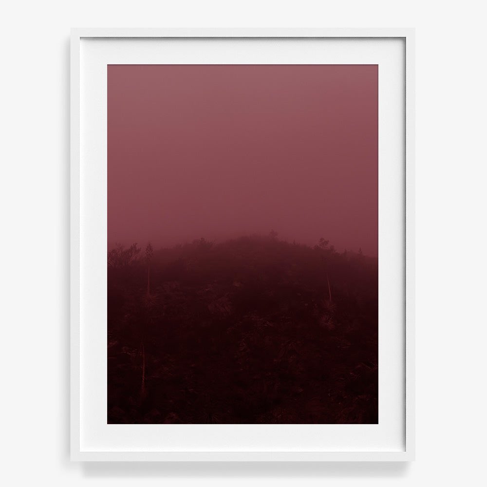 2 new works ‘Climbing’ &amp; ‘Out of the Mist’ launched this month. 

DM for the 1/1 APs or get the editions at:
tappancollective.com/collections/ne…