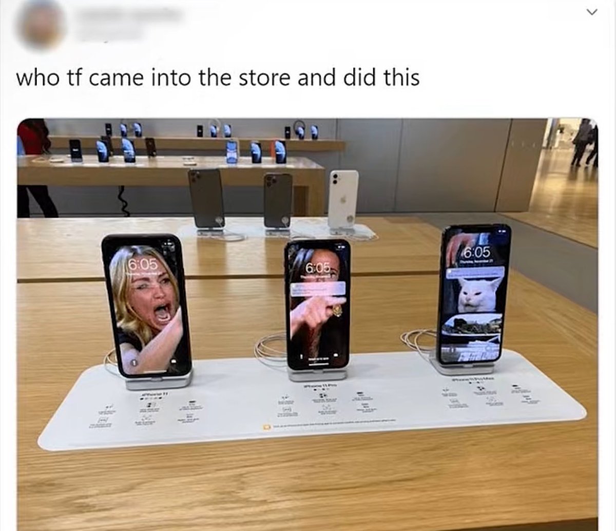 InternetH0F's tweet photo. https://t.co/R8jK3lEaPH