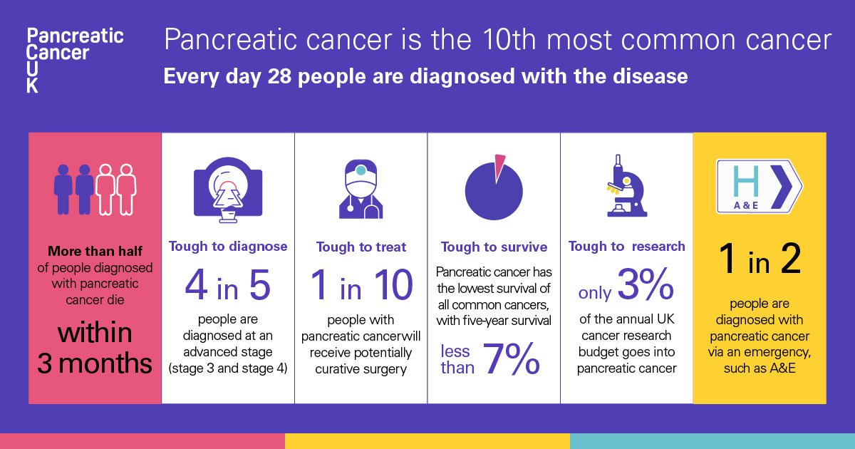 cupcake_alison's tweet photo. World Pancreatic Cancer Day 16th November 2023 #WorldPancreaticCancerDay #PancreaticCancerAwareness https://t.co/bOT7HaXFVo
