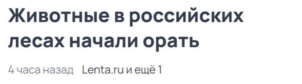 ElectroUral's tweet photo. Ну потому что невозможно уже https://t.co/pg22LmeDnK