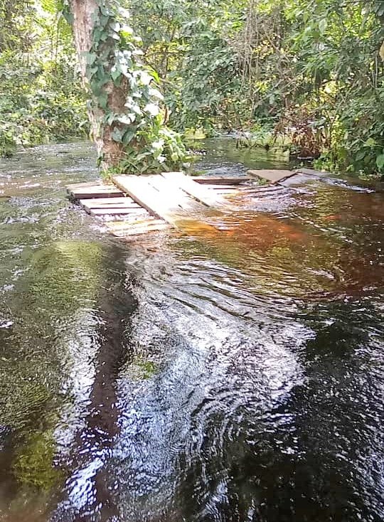 OMSRDCONGO's tweet photo. Dans les villages reculés de Pendjwa &amp; Kiri, province de #Maï_Ndombe 🇨🇩, les agents de santé sont confrontés à un défi monumental alors qu'ils luttent contre les inondations pour garantir que chaque enfant soit vacciné contre la #polio lors d'une campagne de #vaccination. #nVPO2. https://t.co/Eh4neR4u57