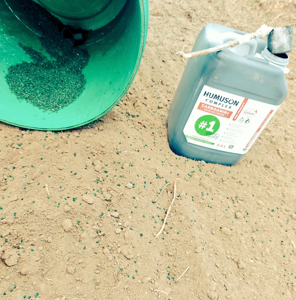 Mudumenwemari..Int'l tweet media