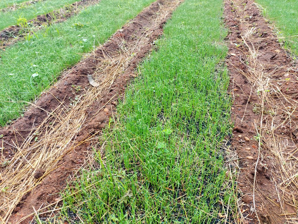 Mudumenwemari..Int'l tweet media