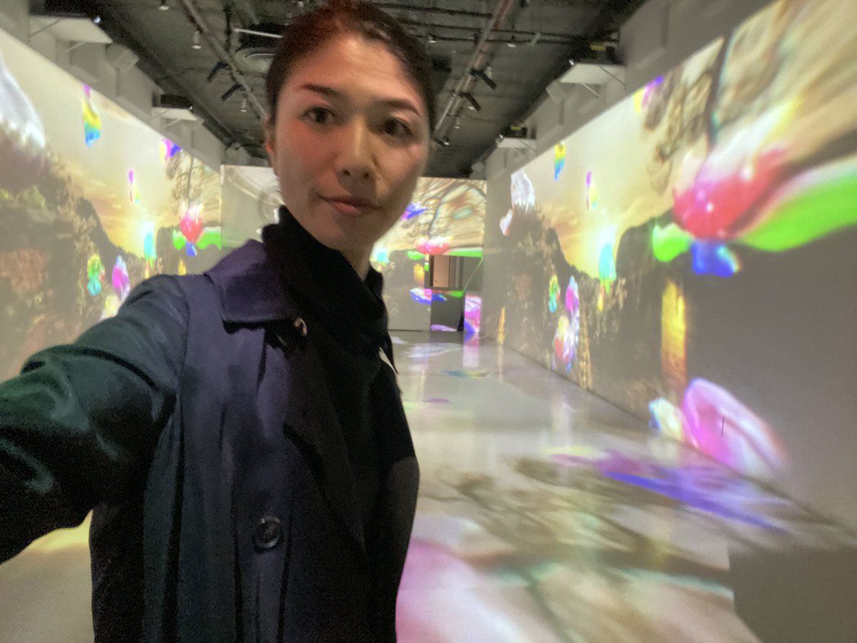 Masako Shiba🐕 tweet media