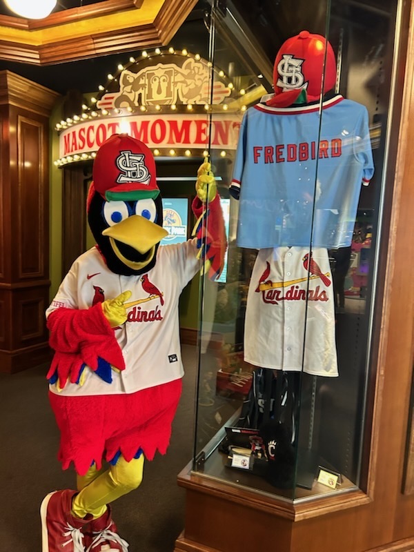 Fredbird - St Louis Cardinals Mascot, YES, that is right Fr…