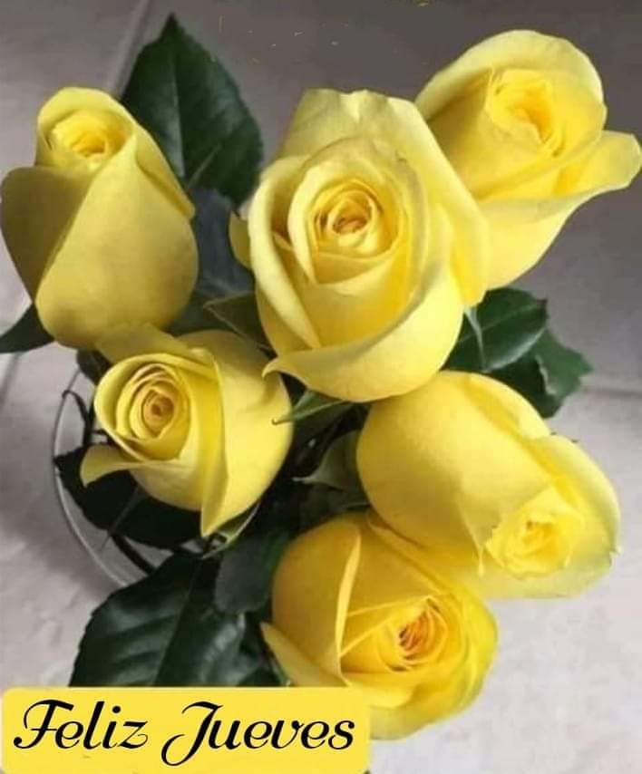 PoArellano's tweet photo. @ElResolver Que sea un día maravilloso para ti, amigo..
🌾🍀🌾🍀🌾🍀🌾🍀🌾🍀 https://t.co/D5umJOC7MW
