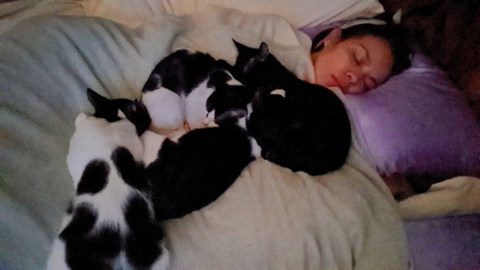 Tis the season 🥹❤️ https://t.co/ftm2Lr9k0x