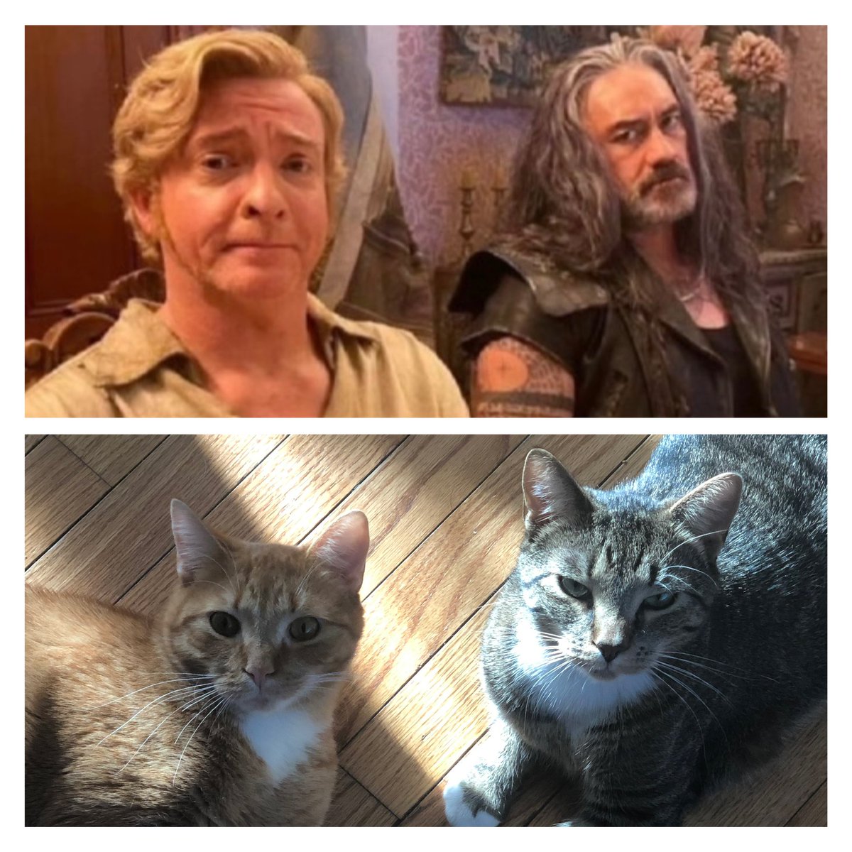 sasmif1's tweet photo. @rhysiedarby https://t.co/QBX7hYBHSB