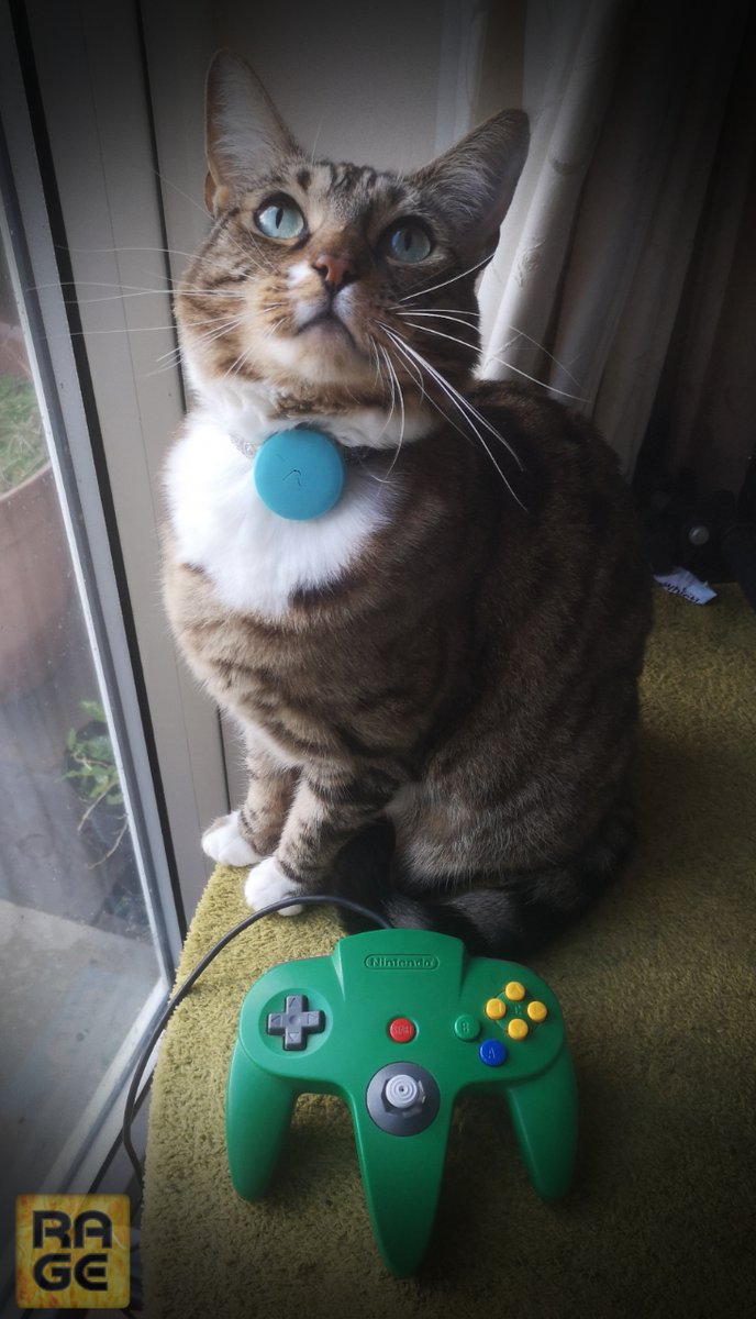 rage_at_retro's tweet photo. Wednesday the cat managed to reset the N64 last week while Lottie was playing Majora's Mask...so we will be trying to whizz through to get back to where we were.
16NOV2023 at 20:00 on that purple platform.๐ผโ
#cats #n64 #majorasmask #catproblem #n64controller https://t.co/P5krY5JS8M
