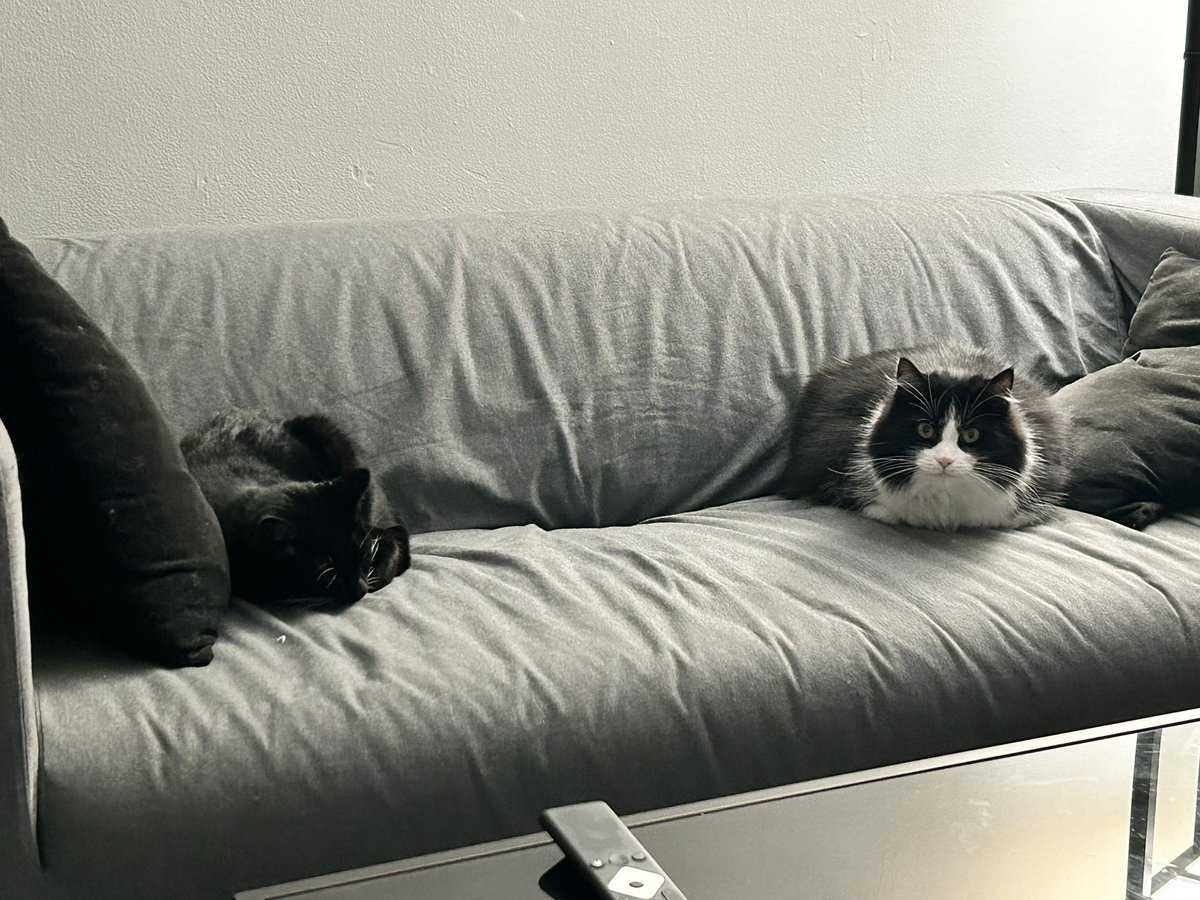 Get this Funker offa My Couche