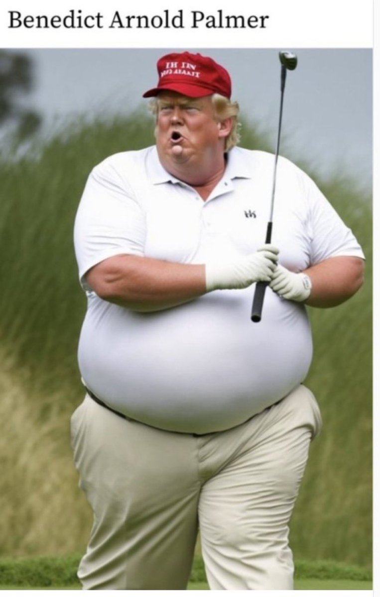 BlueVoting's tweet photo. @ACTBrigitte Does not even look like Don. https://t.co/GuHcoExnjQ