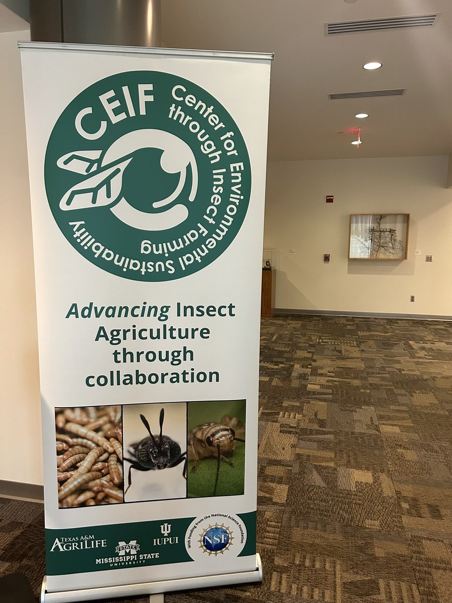 Jeff Tomberlin tweet media