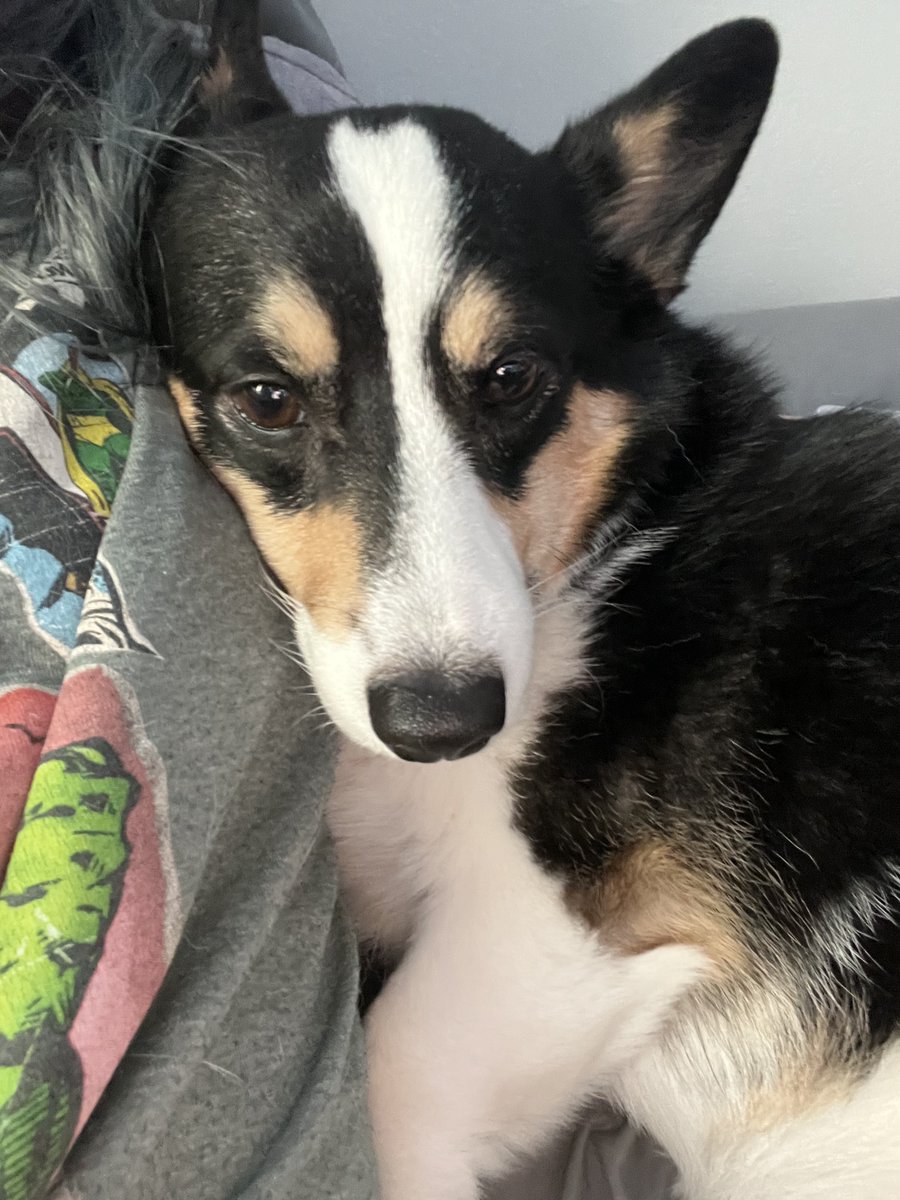 xkyuni's tweet photo. snuggles w my sweet girl 🥺 https://t.co/v1DO14i65j