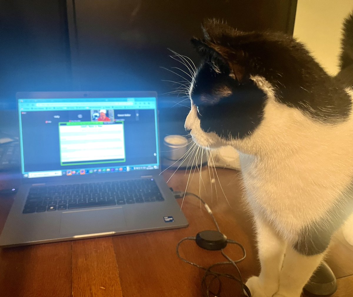 MapMakerHolly's tweet photo. Enjoying a very interesting Map Memoirs session from @bcsmaps. Thank you @GoldsmithJim, @kennethfield and David Wood! Juno’s enjoying it too… 😁 https://t.co/ttjnviqgDM