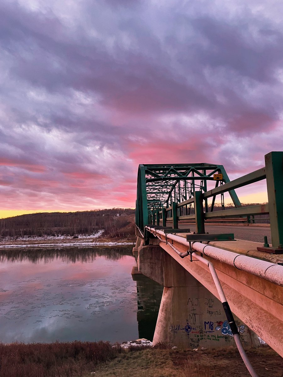 My favourite part of early morning grower meetings🌅☀️