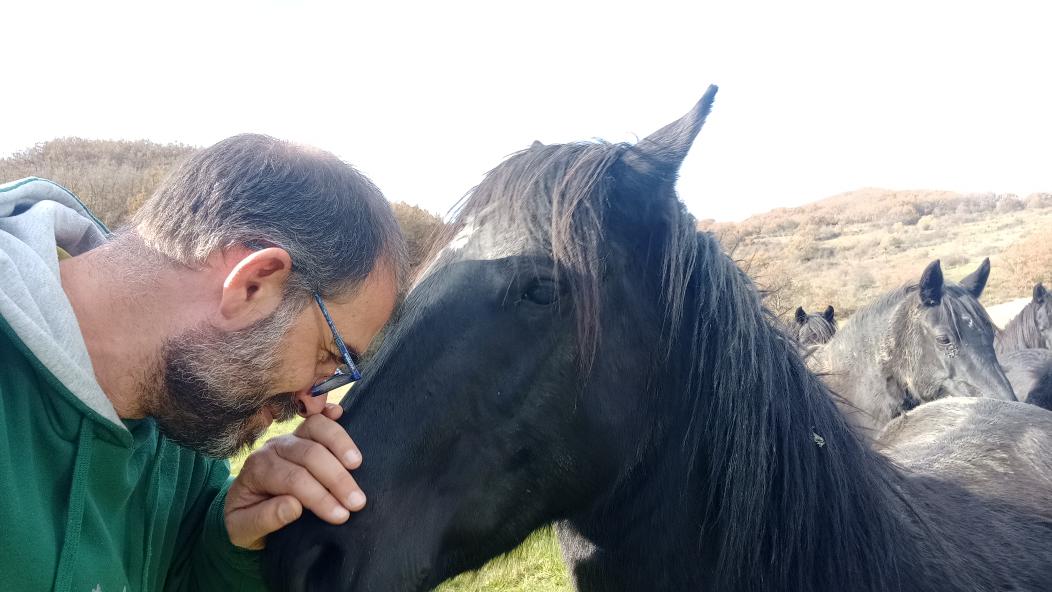 ¿que siento cuando trabajo con especies en peligro de extinción?
Mi respuesta es sencilla, una imagen vale más que mil palabras
En la reserva <a href="/BisonteEuropeo/">Reserva del Bisonte</a> que es la oficina del <a href="/CommitteeWorld/">international committee world biological corridor</a> trabajamos así como en la foto, con los caballos losinos
corredorbiologicomundial.org