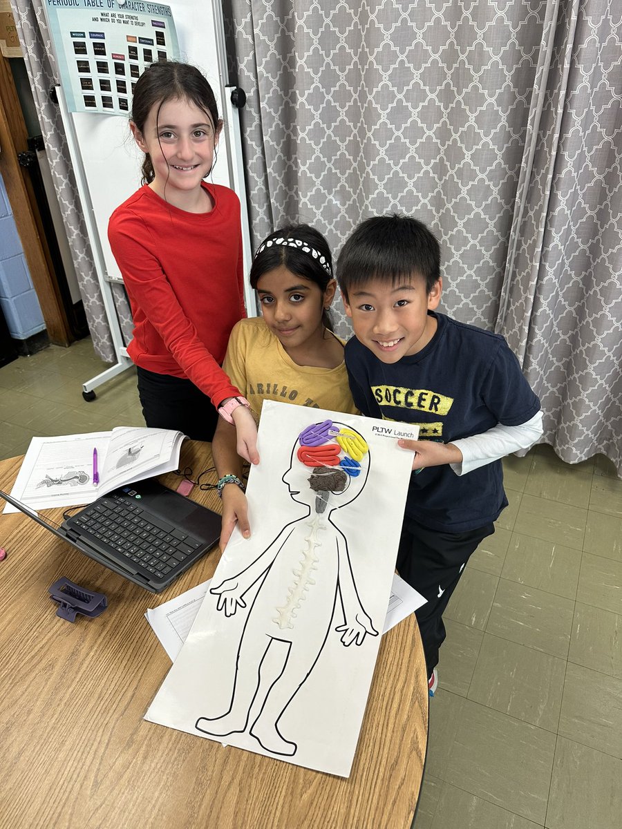 MsZubovicsClass's tweet photo. Big brain 🧠 moments! Learning all about our nervous system and how our brain works to support our 5 senses! #WeAreHerricks @SearingtownK5 @HerricksSchools https://t.co/veRbqpCDii
