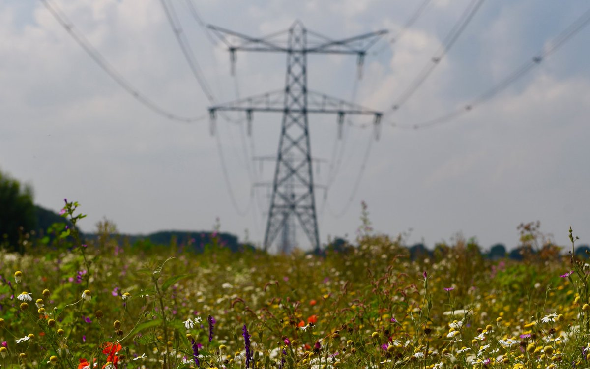 almere's tweet photo. Almere is overvallen door het bericht van de netbeheerders dat per direct in een groot deel van Almere geen nieuwe woningen aangesloten kunnen worden op het elektriciteitsnet. Zolang deze situatie niet wordt opgelost, zijn verstrekkende maatregelen nodig. https://t.co/98gSz1kYdJ https://t.co/MpzGcPIBHV