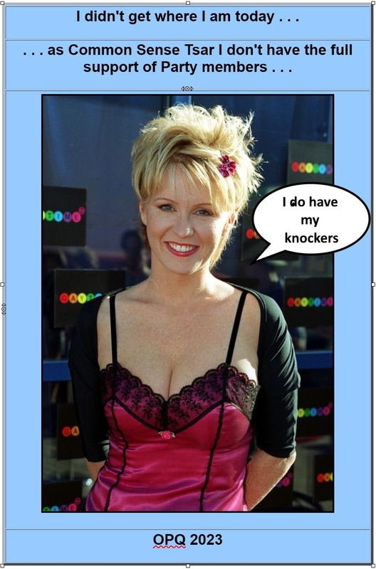 krisale's tweet photo. British MP Esther McVey is back in the Cabinet as Minister without Portfolio. She is Minister for Common Sense with an emphasis on "anti-wokery". @TeaPainUSA @tribelaw @neal_katyal @jaketapper @TheLeadCNN @JakeSherman @RepDanGoldman @SenWarren @gtconway3d @RpsAgainstTrump https://t.co/Bv9WvOGxU3