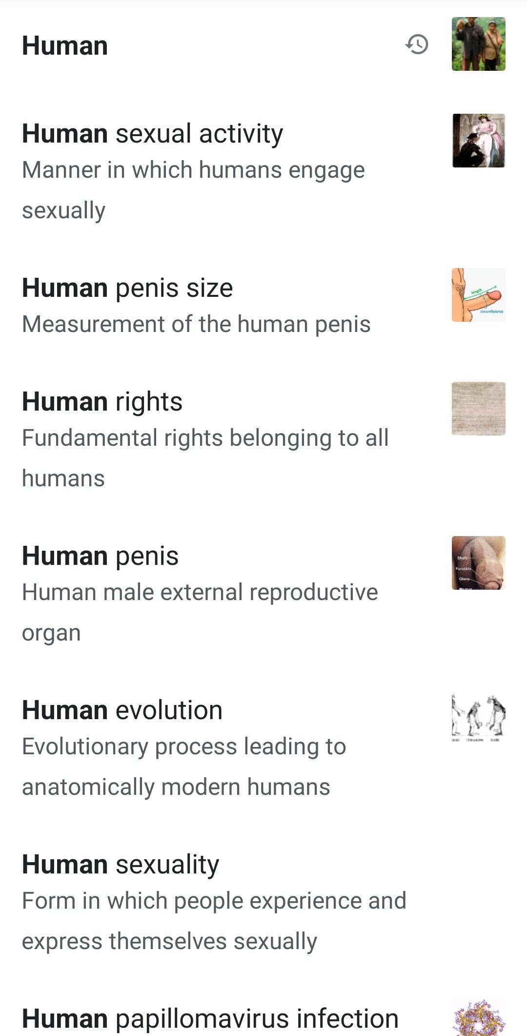 Human penis - Wikipedia