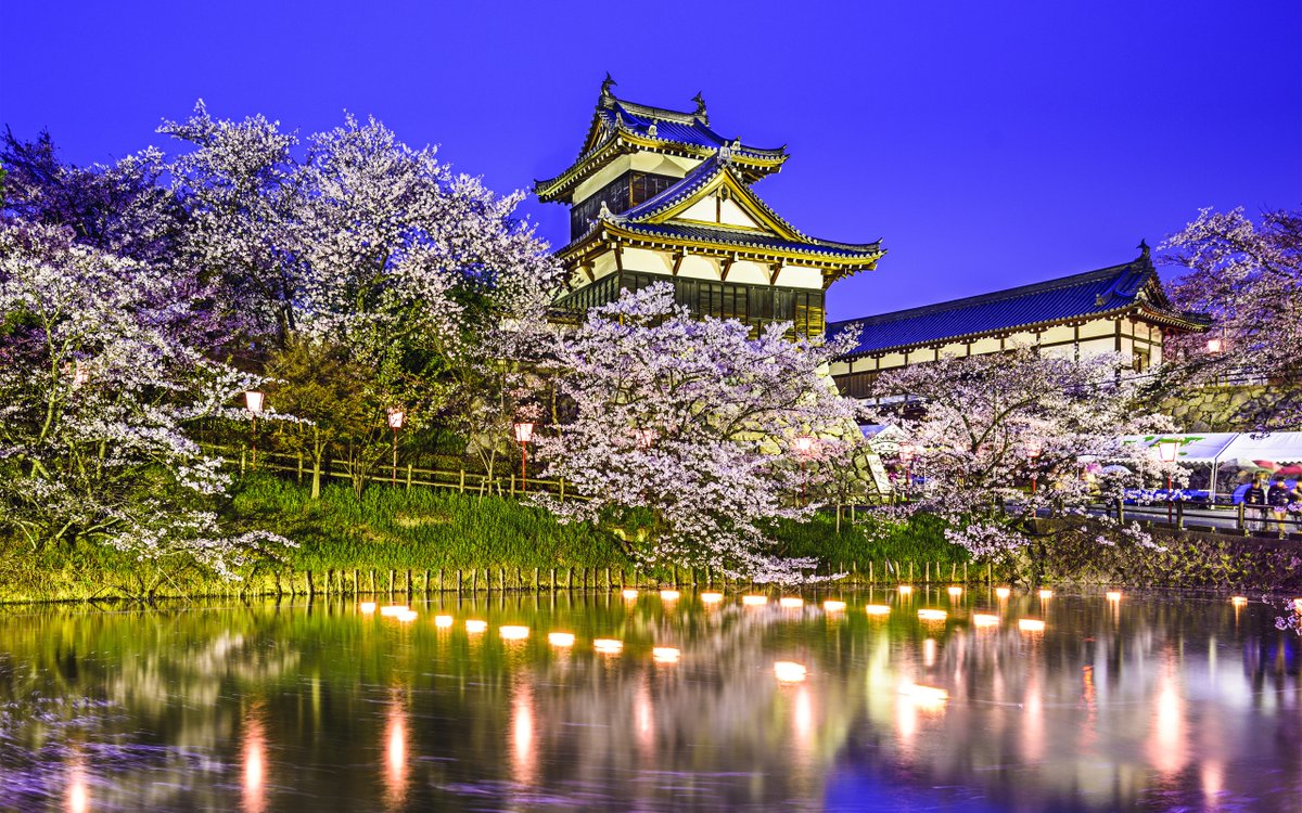 SESCRIBIR's tweet photo. Lost in the enchanting blend of tradition and modernity in Japan! 🇯🇵✨ From cherry blossoms to bustling cityscapes, every corner tells a story. What's your favorite aspect of Japan? #JapanAdventures #LandOfContrasts https://t.co/4zevddSzAI