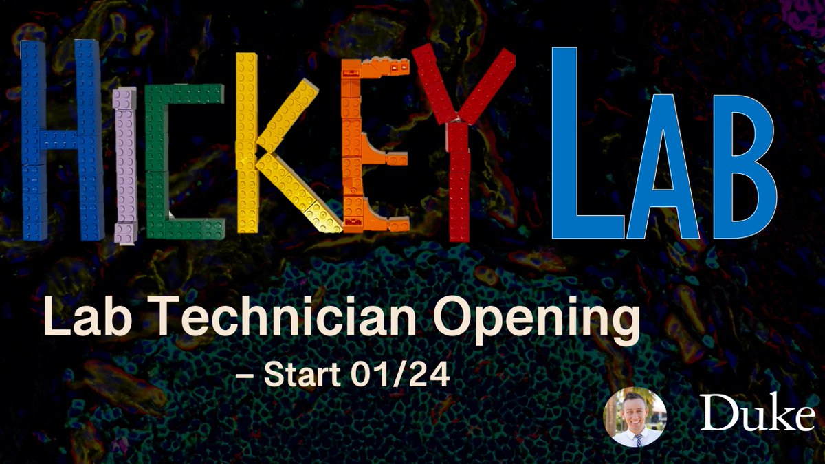 🔬 Join Hickey Lab @ Duke! 🌟Exciting opportunity (start 01/2024) for a lab technician in spatialomics. Seeking a proactive individual passionate about contributing to BME & SysBio. Apply: academicjobsonline.org/ajo/jobs/26040 🚀Repost if you know a good fit! #ScienceJobs #DukeUniversity 🧪✨