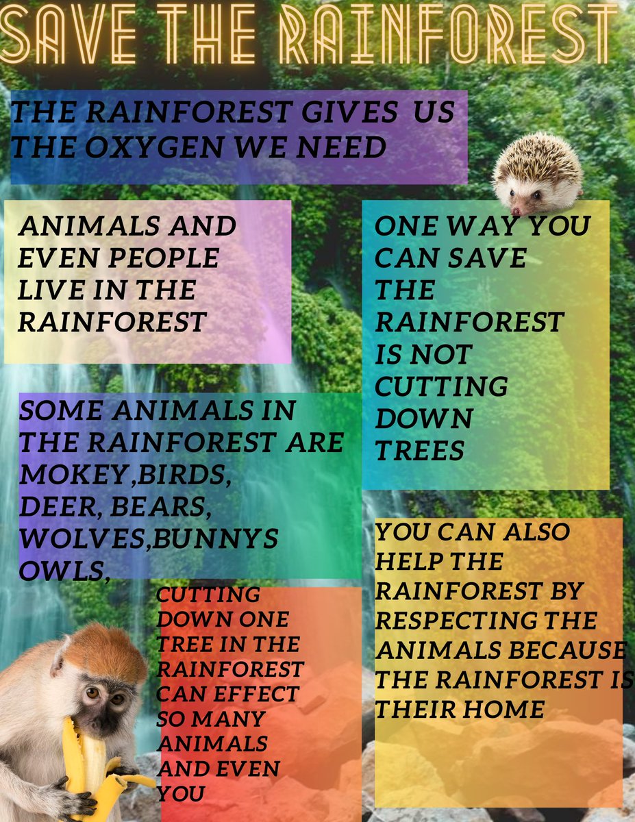 Tech Coach, MCS tweet media