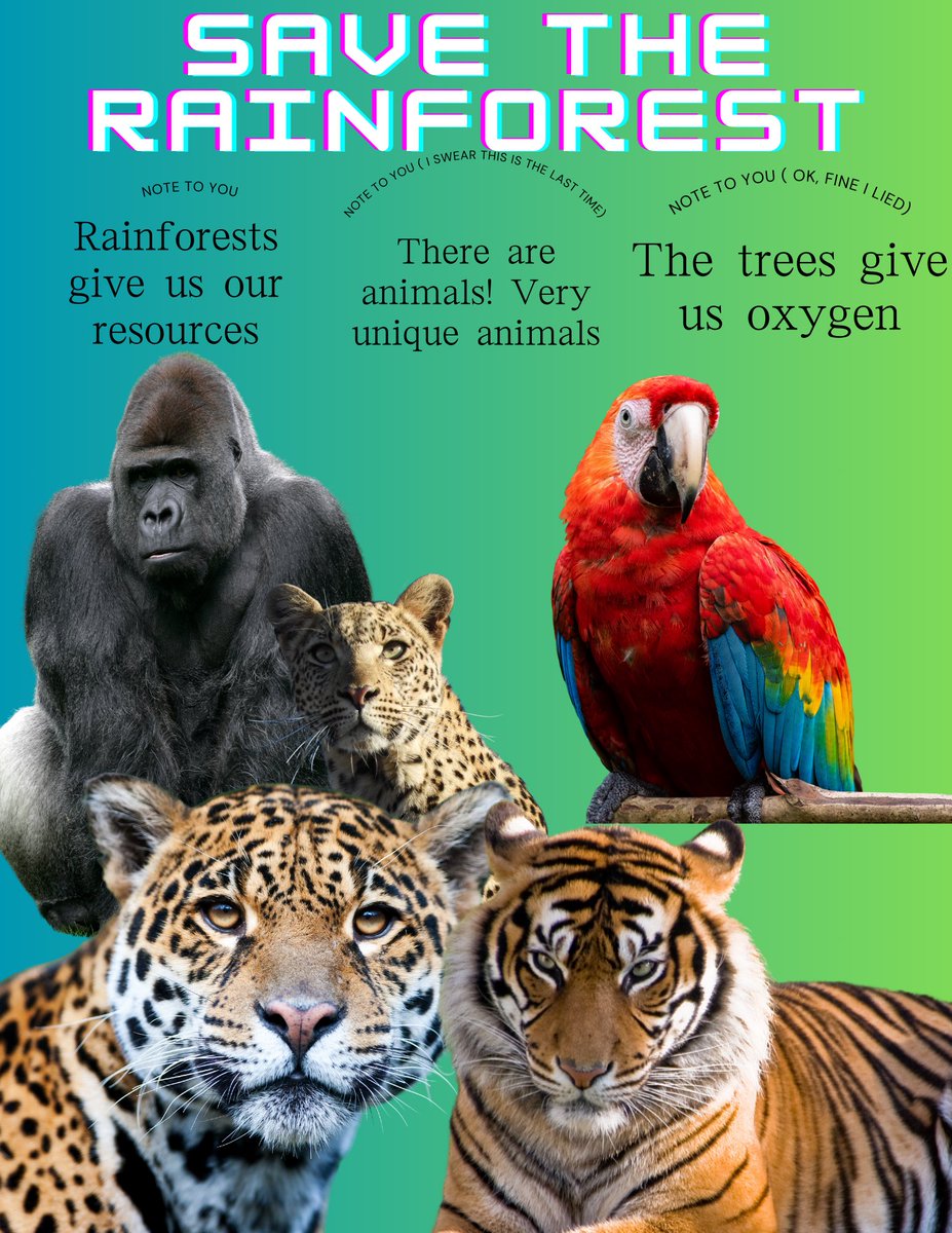 Tech Coach, MCS tweet media