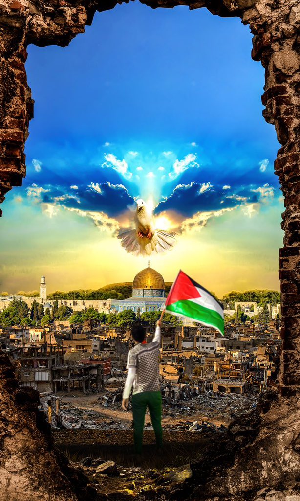 NusCa2042's tweet photo. @jacksonhinkle If you support humanity, you have a duty to support Palestine 🇵🇸 https://t.co/gXS2QSznSm