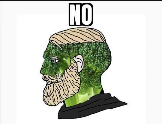 not_a_broccoli_IRL tweet media