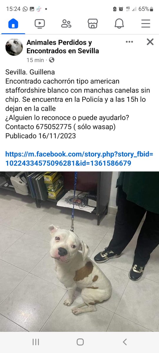 Qué lástima pobre animalito 😭 💔