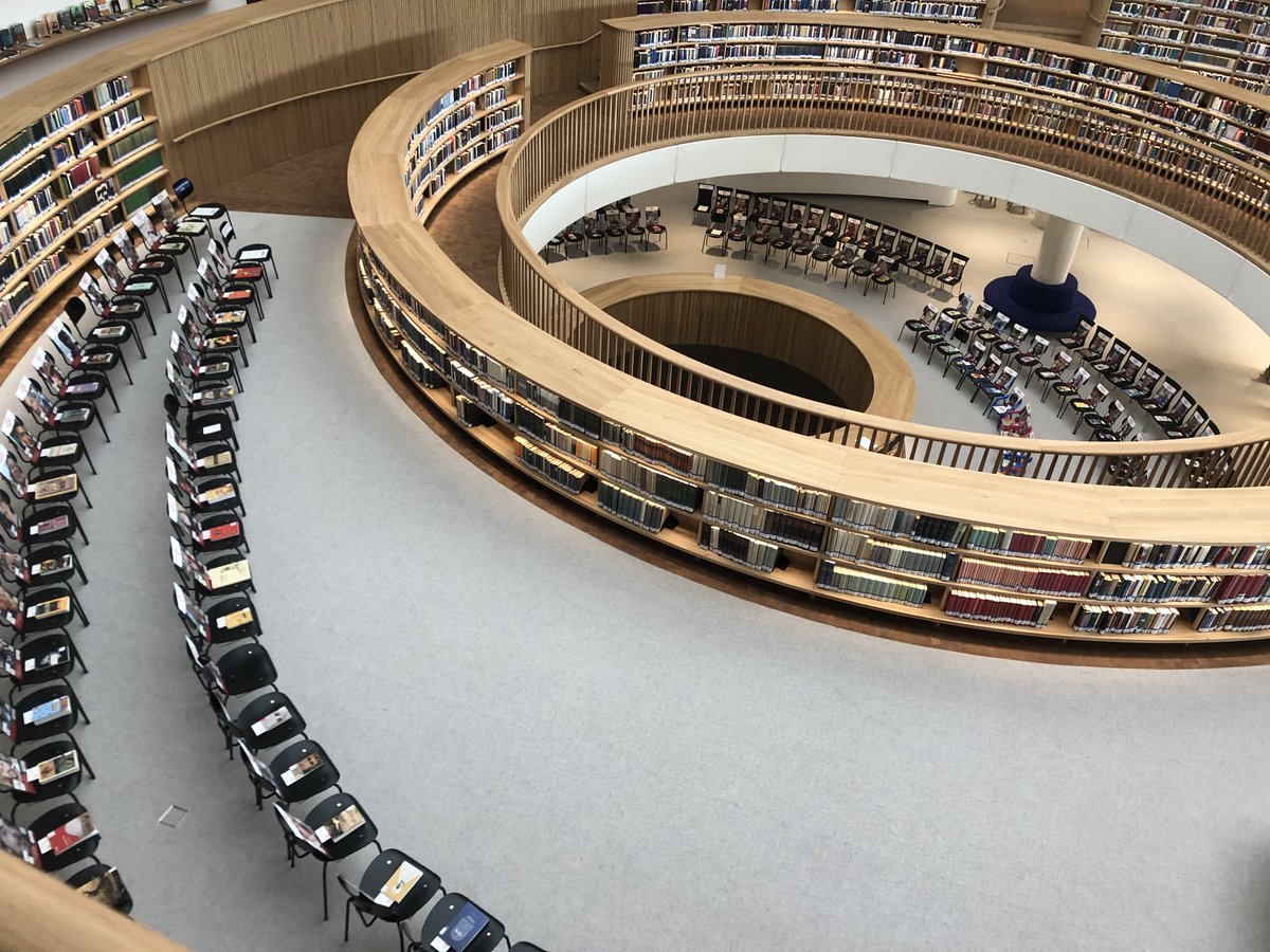 Shany Mor שני מור شني مور tweet media